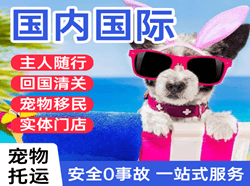 海西花土沟航空物流国际宠物托运 【国